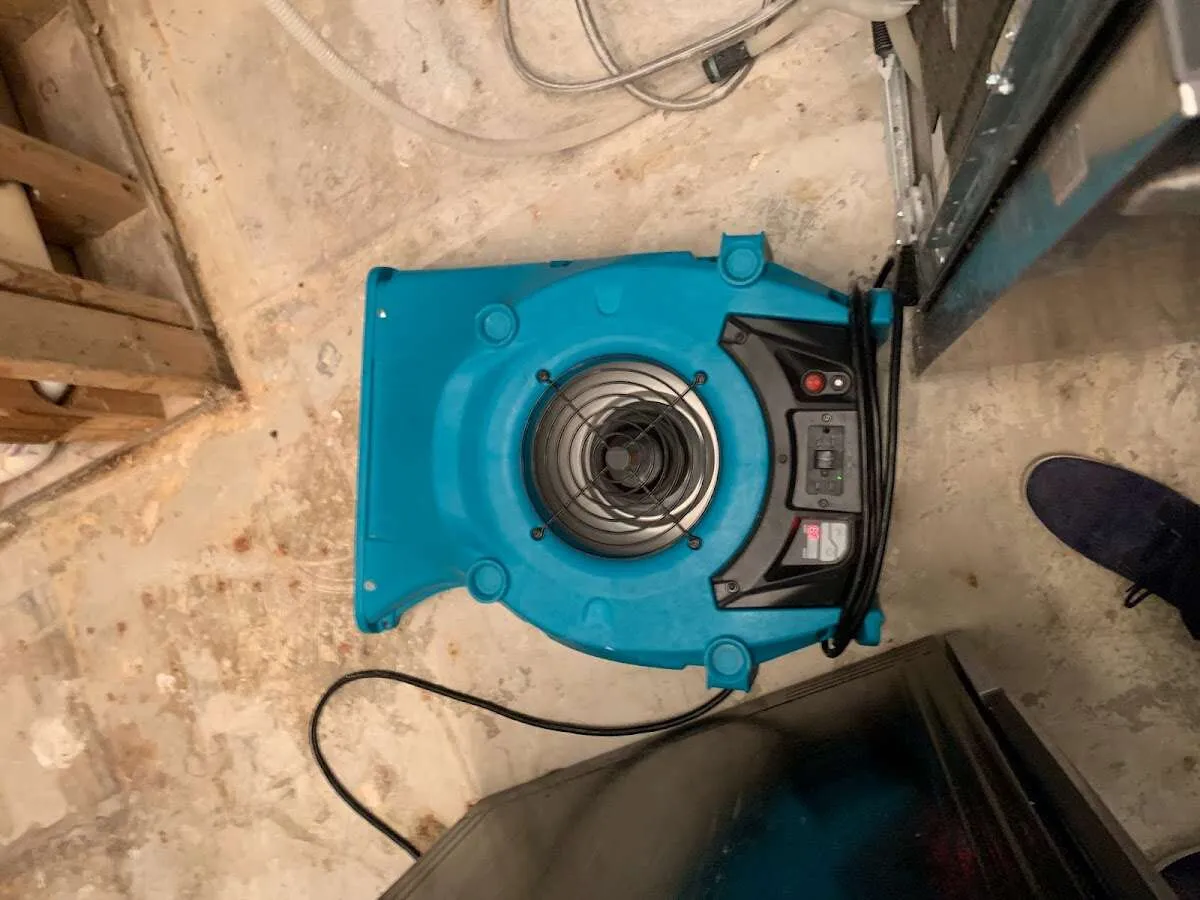 Air mover drying equipment for Mold Remediation & Removal in Whitemarsh